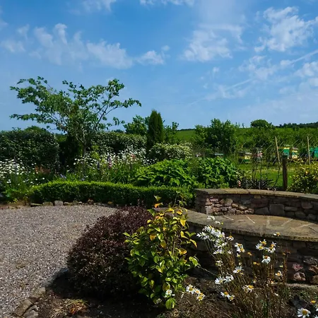 Bridge's - Hot Tub - Plunge Pool Mitchelstown